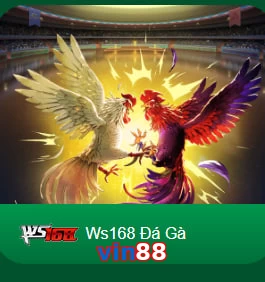 vin88